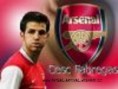 Fabregas chce opustit Arsenal